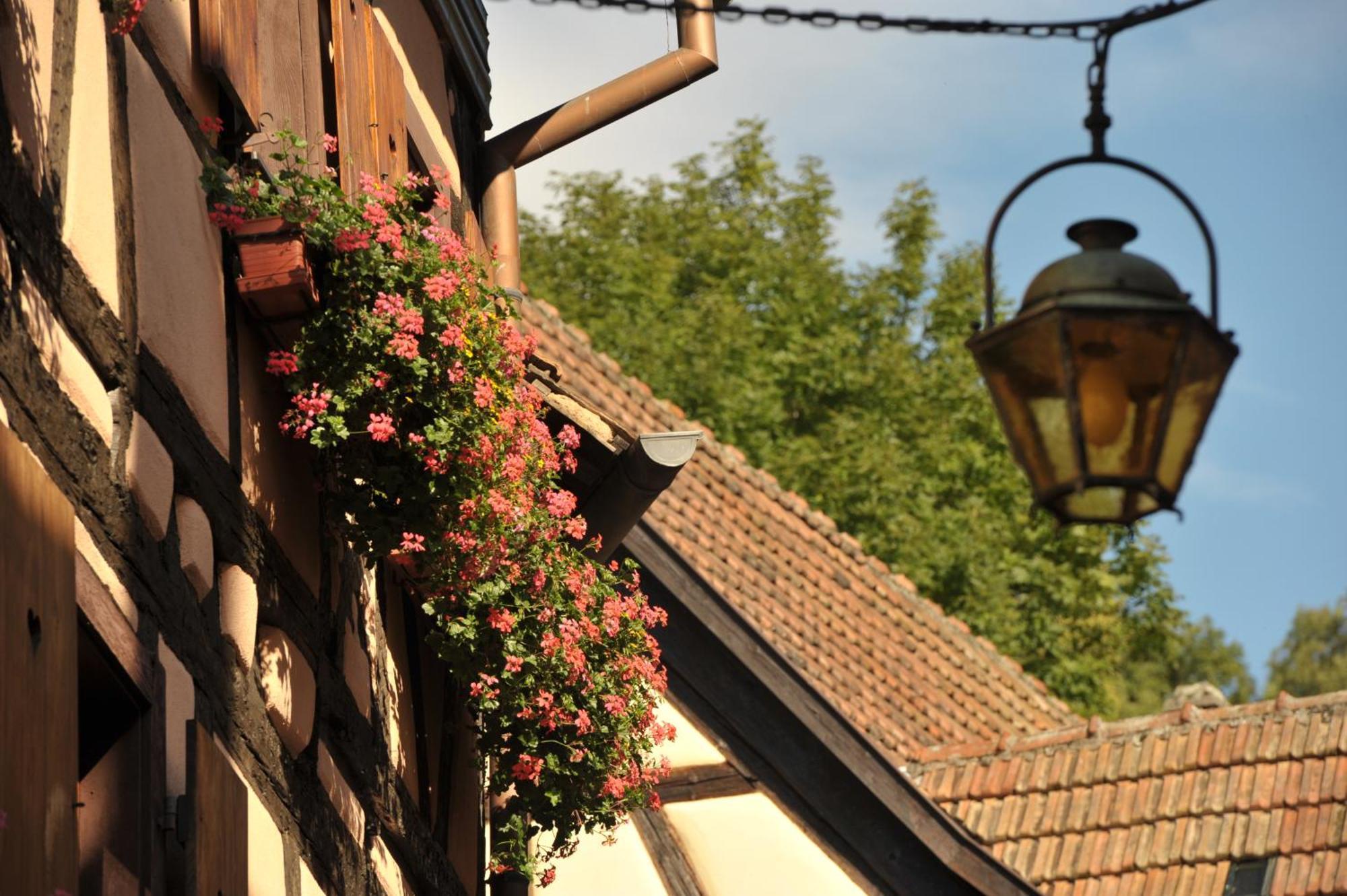 Logis Hotel Restaurant De La Poste Et Spa De Montagne Le Bonhomme Luaran gambar